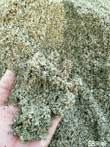 出售大量河沙,中沙细沙粉墙沙粗沙,品种多,整车装送 建材 桂林分类信息 桂林二手市场