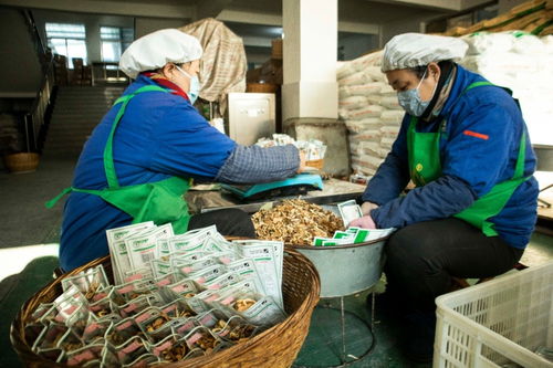 淄博市淄川峪林调味品食品厂 两代人40年坚守一份 花椒事业