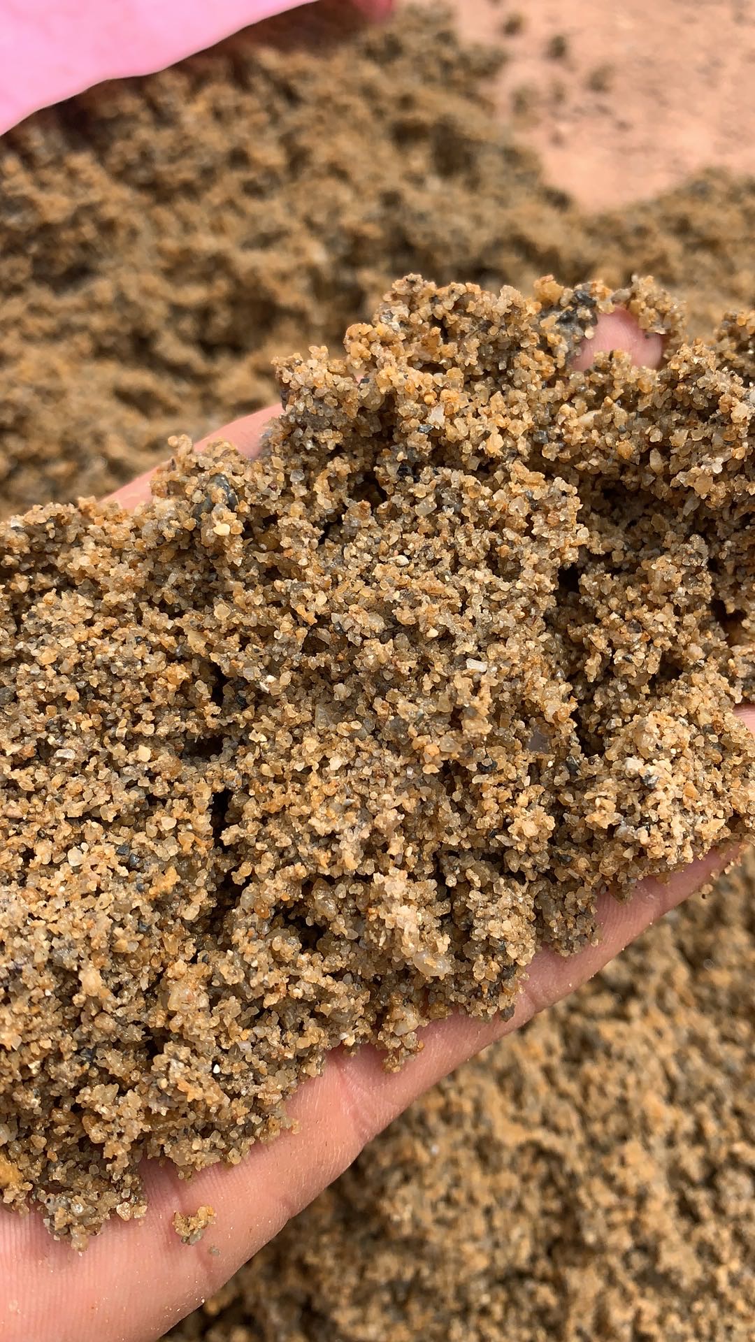 河砂-樵烽沙石运输公司-过筛水洗大粗地沙内河沙(绝对不含海沙)粒度2.